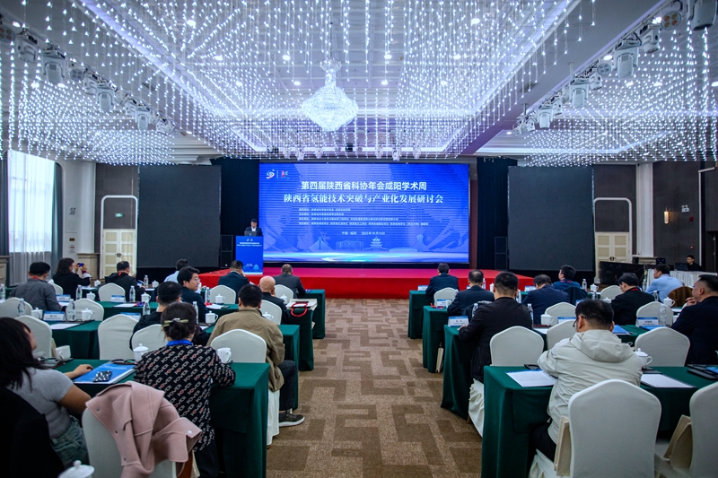 161760582655115526.jpeg 1.jpg